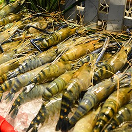 gallery-for-microsite-270x270-river-prawn-and-salmon2-2