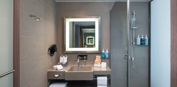 superior-room-bathroom-2